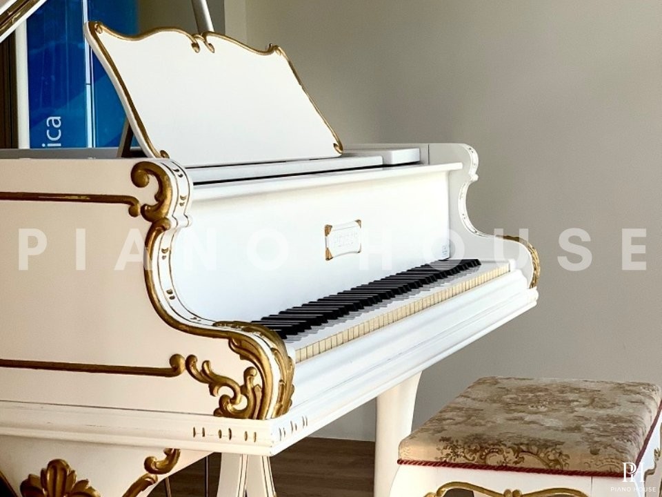 [SPECIAL] PETROF BREEZE ROCOCO