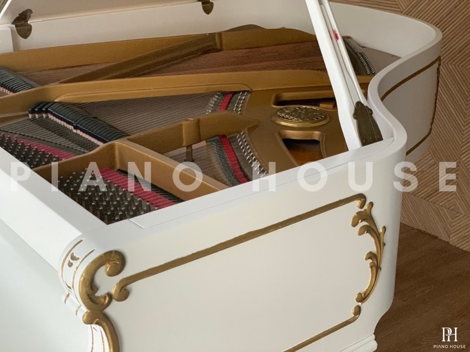 [SPECIAL] PETROF BREEZE ROCOCO