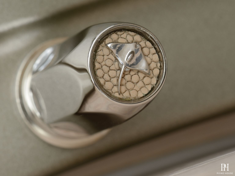 [SPECIAL] STINGRAY