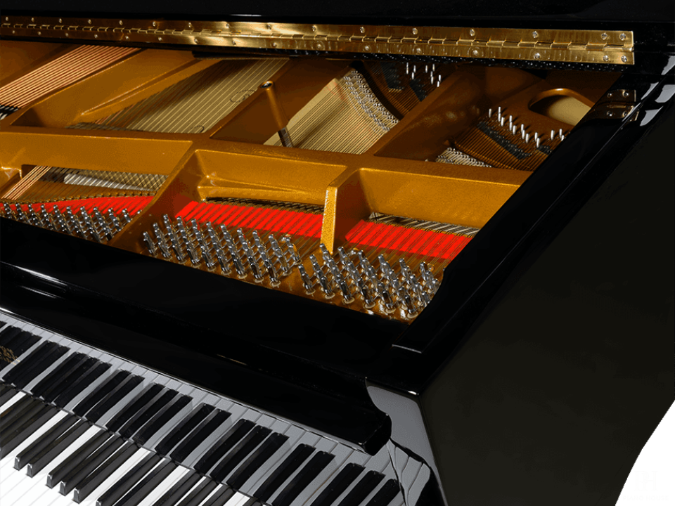 Pleyel P170-BLK