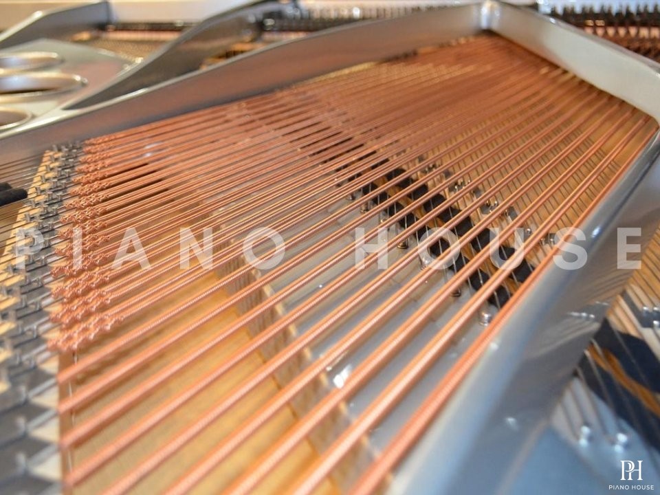 Sauter Ambiente 230
