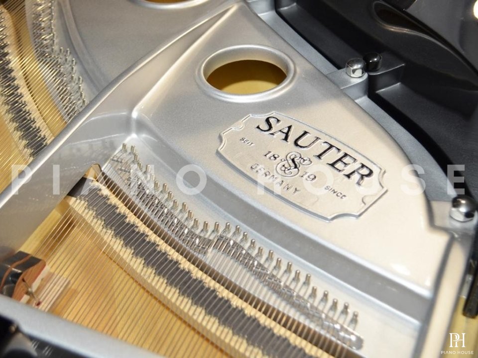 Sauter Ambiente 230