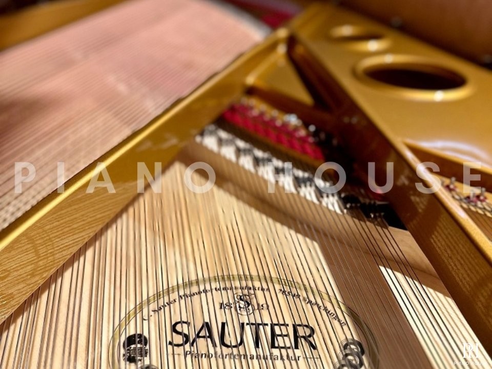 Sauter Noblesse 185