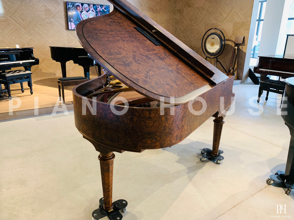 Sauter Noblesse 185