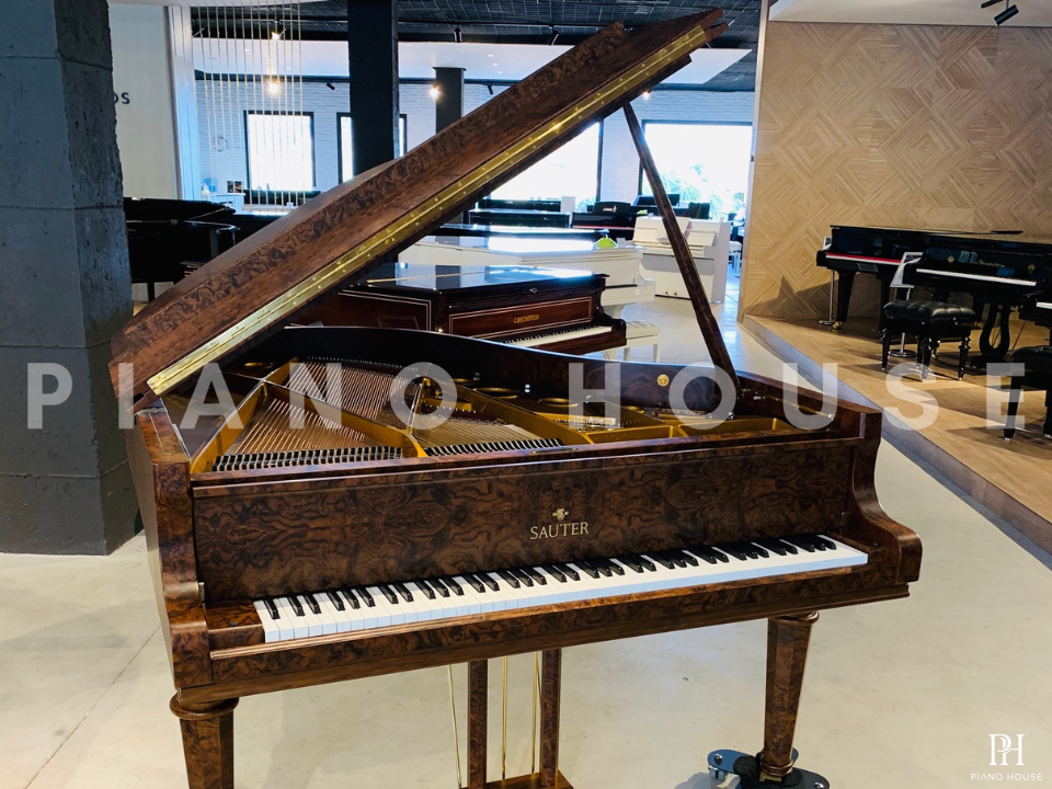 Sauter Noblesse 185