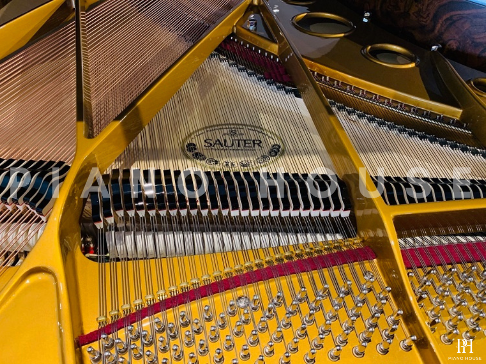 Sauter Noblesse 185