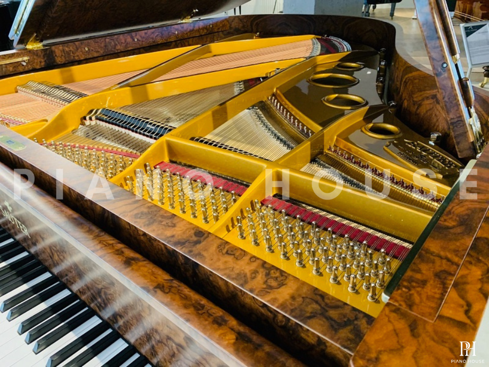 Sauter Noblesse 185