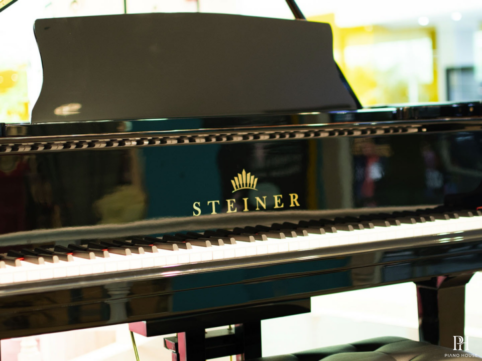 Steiner GP-152 Black Self-Playing