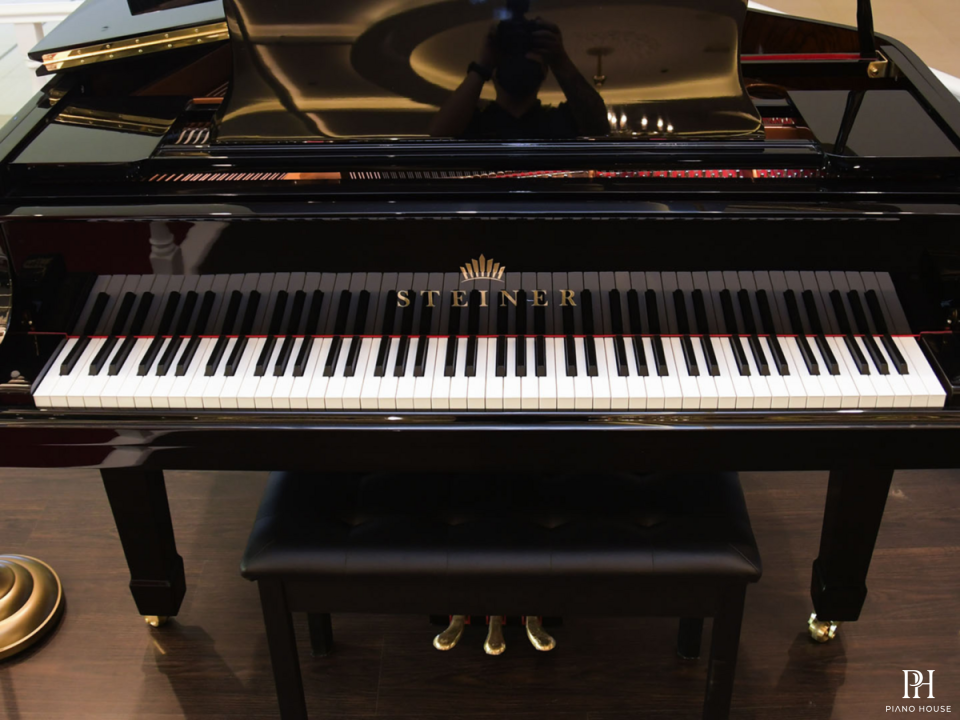 Steiner GP-152 Black Self-Playing