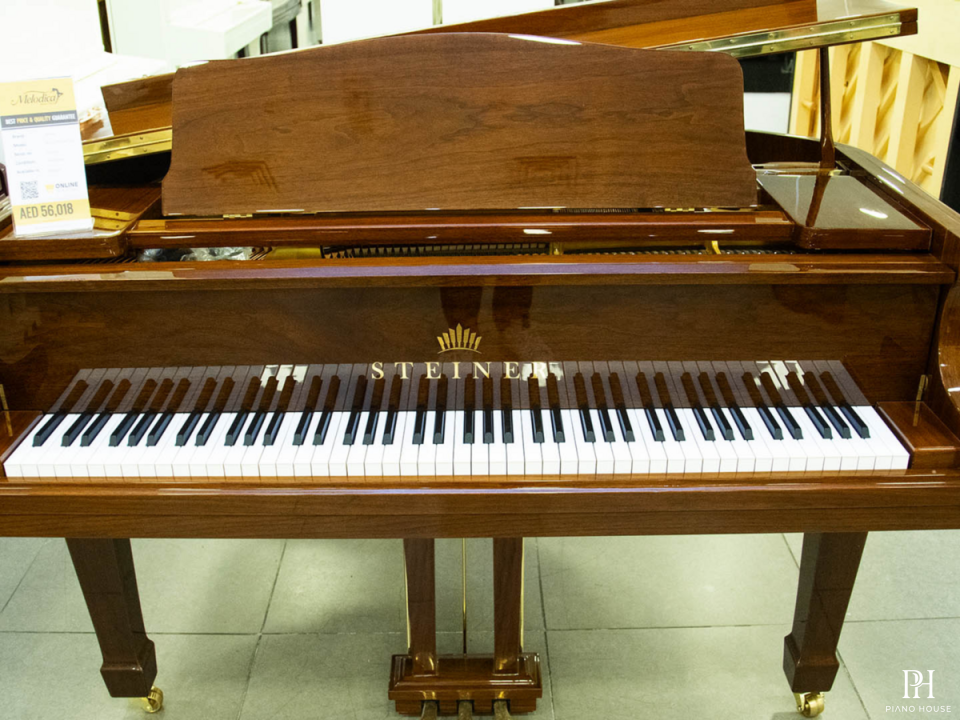 Steiner GP-152 Brown Self-Playing