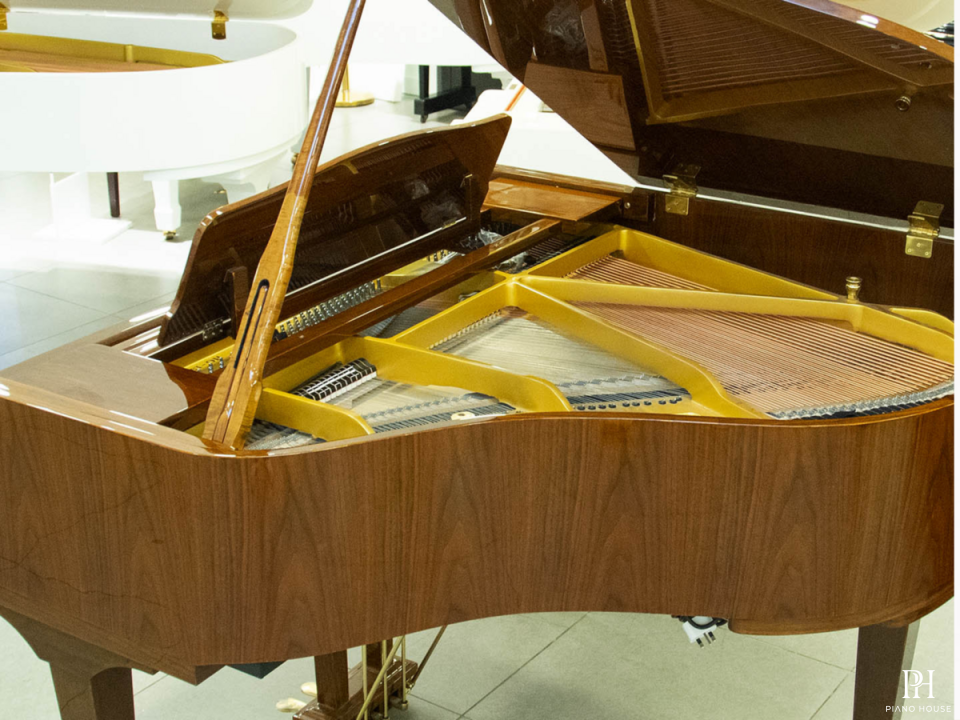 Steiner GP-152 Brown Self-Playing