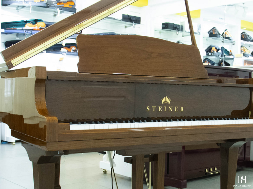 Steiner GP-152 Brown Self-Playing