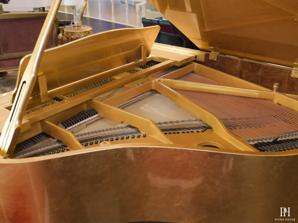Steiner GP-152 GOLD Self-Playing
