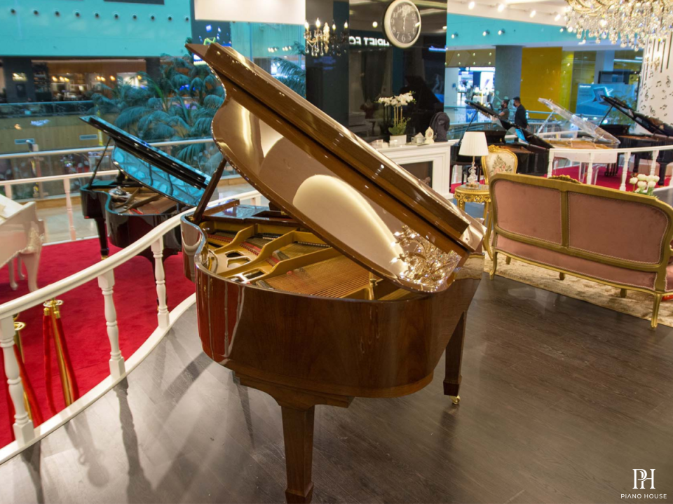 Steiner GP-152 Walnut Self-Playing
