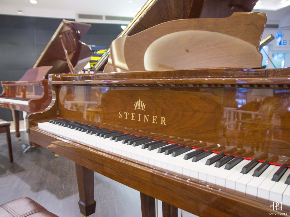 Steiner GP-152 Walnut Self-Playing