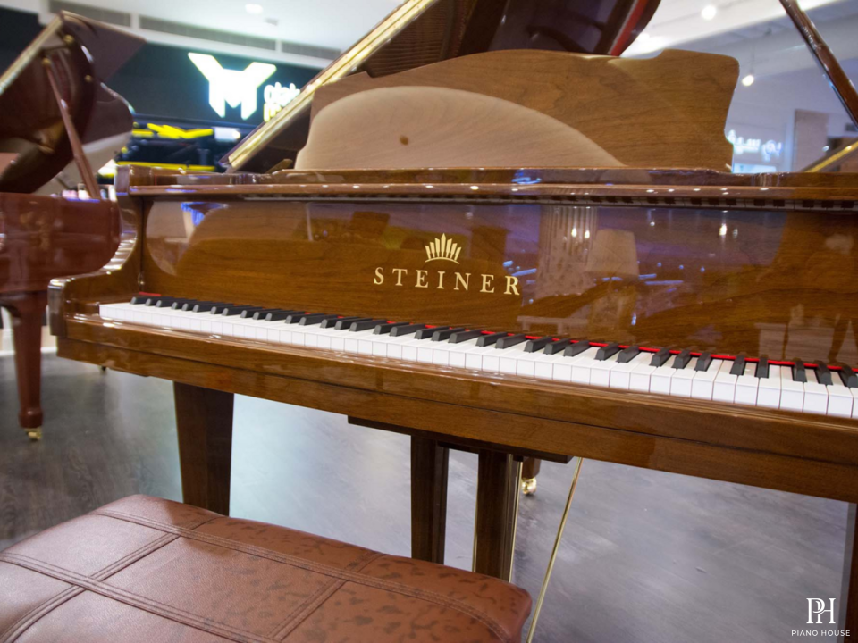 Steiner GP-152 Walnut Self-Playing