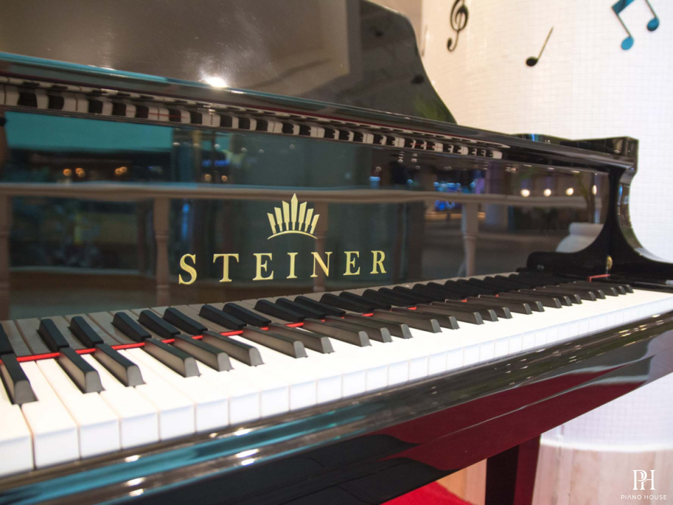 Steiner GP-186E Self-Playing