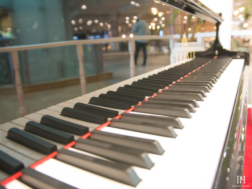 Steiner GP-186E Self-Playing