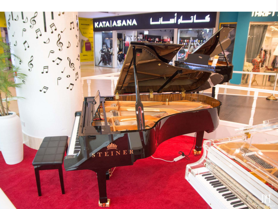 Steiner GP-231 Self-Playing