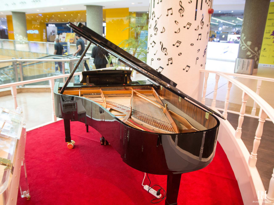 Steiner GP-231 Self-Playing