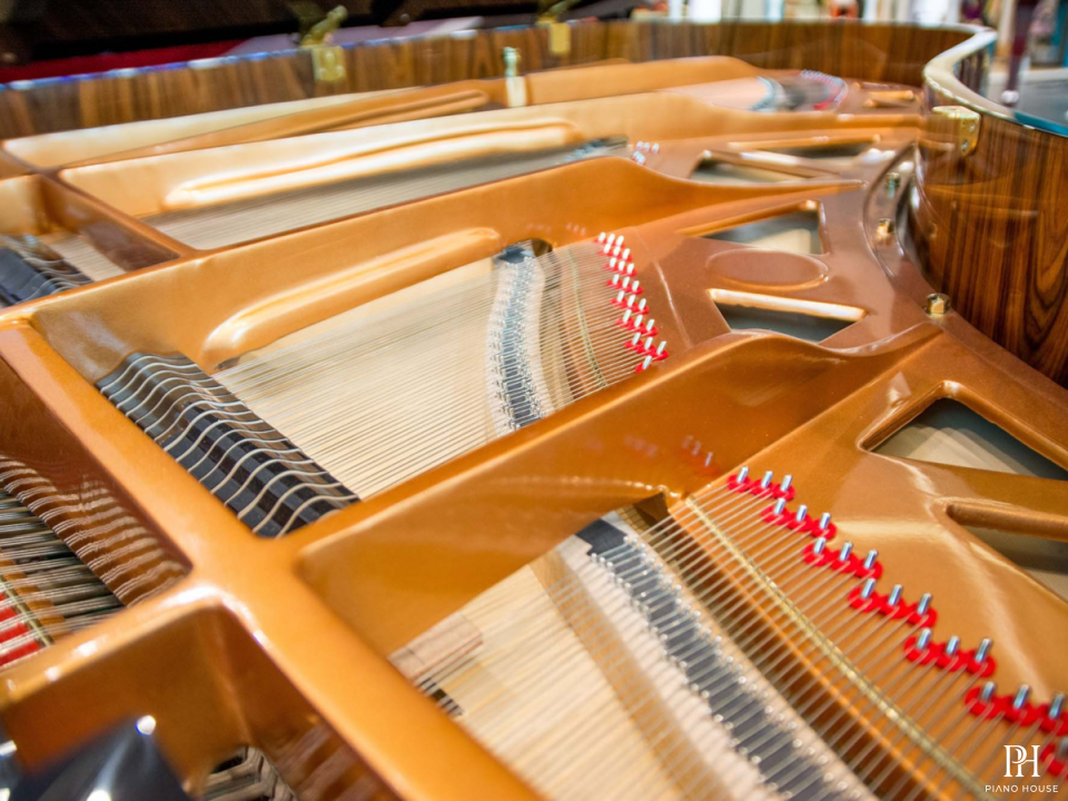 Steiner GP-231 Self-Playing