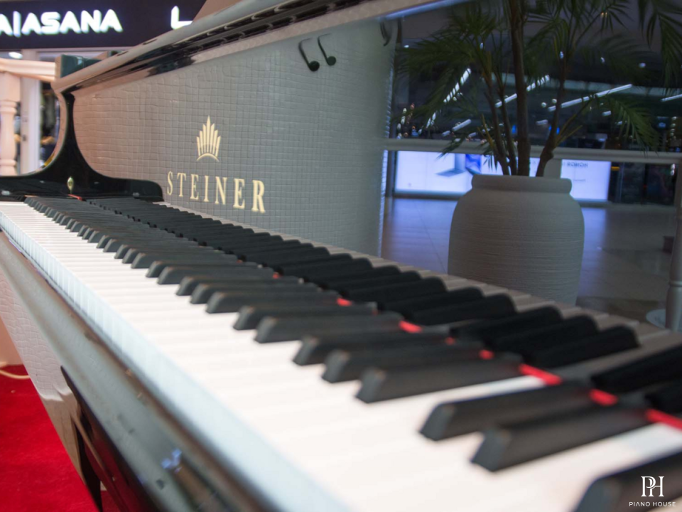 Steiner GP-231 Self-Playing