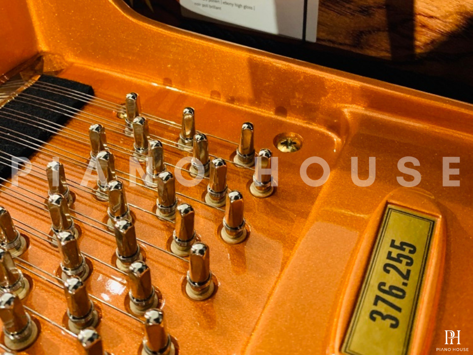 Schimmel Classic C169 Tradition
