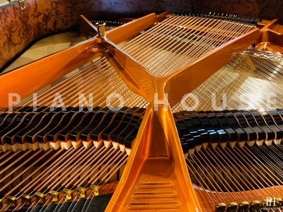 Schimmel Classic C169 Tradition