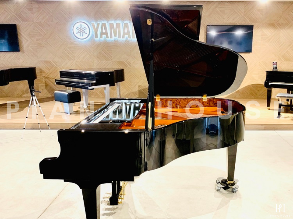 Schimmel Classic C169 Tradition