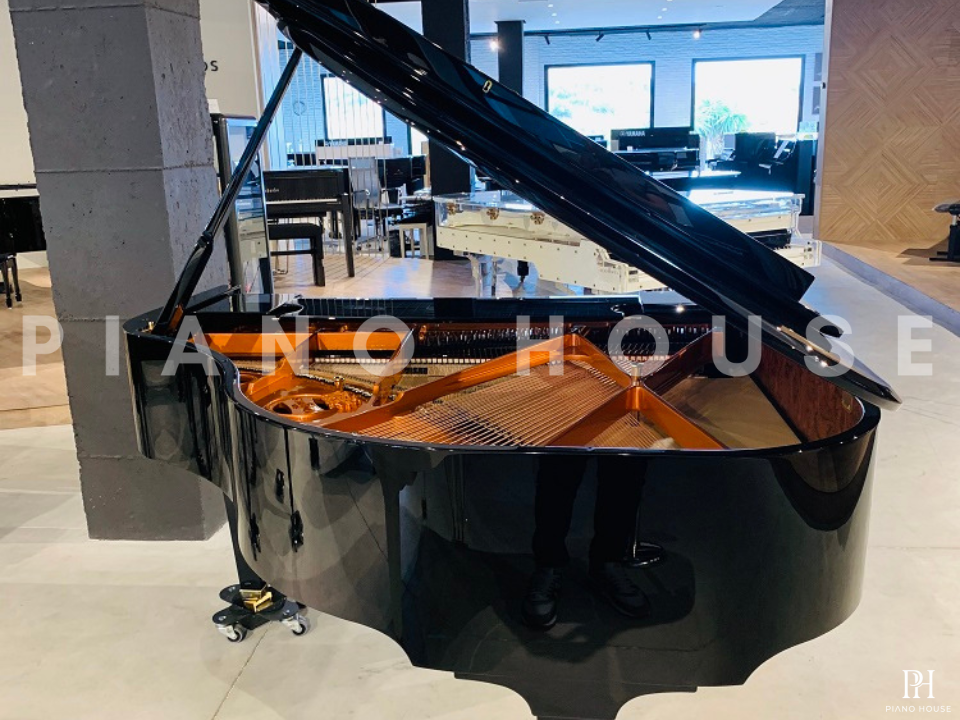 Schimmel Classic C169 Tradition