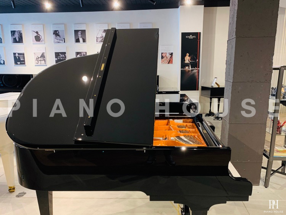 Schimmel Classic C169 Tradition