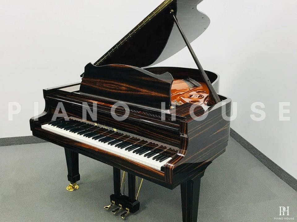 Wilhelm Schimmel W180 Tradition (Macassar Ebony)