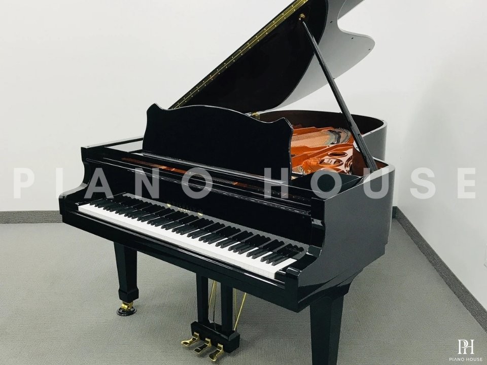 Wilhelm Schimmel W206 Tradition