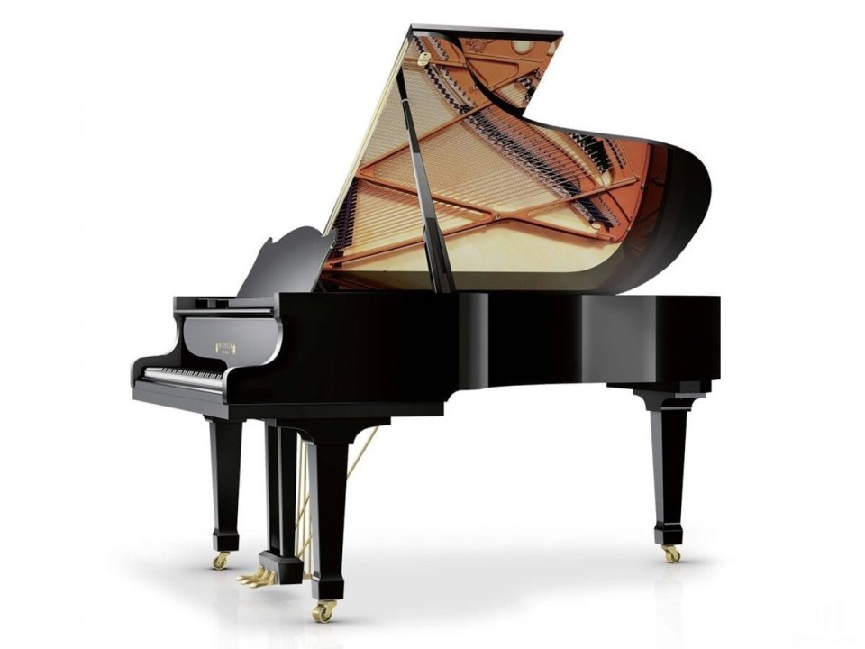 Wilhelm Schimmel W206 Tradition