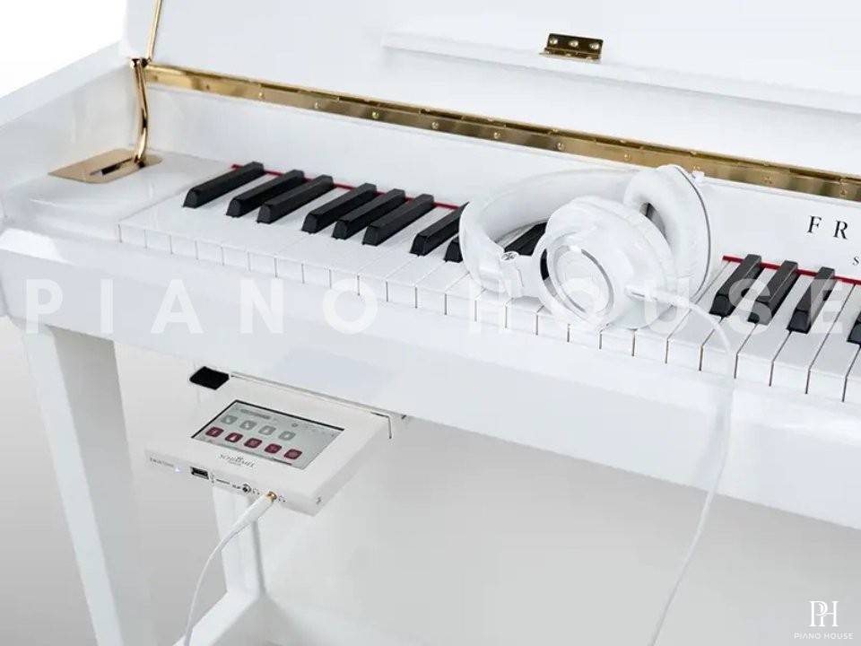 Schimmel TwinTone