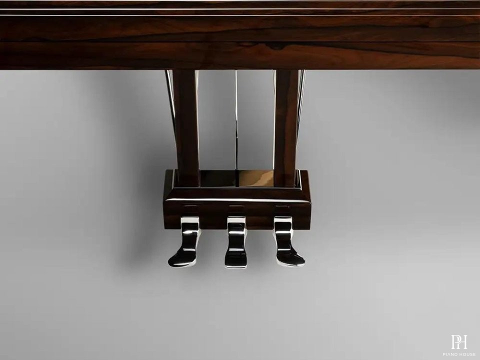 Schimmel Classic C169 Ziricote
