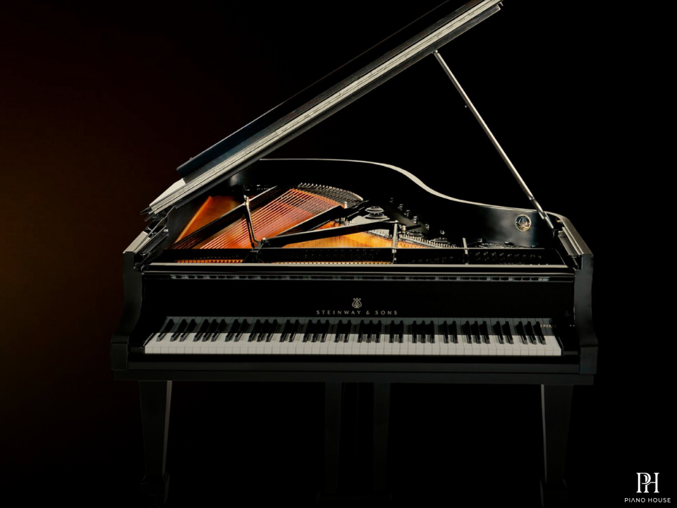 Steinway & Sons - The Jet Noir