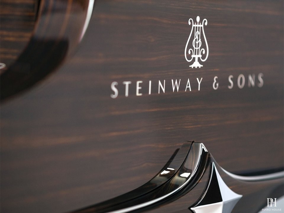 Steinway & Sons Black Dimond model D