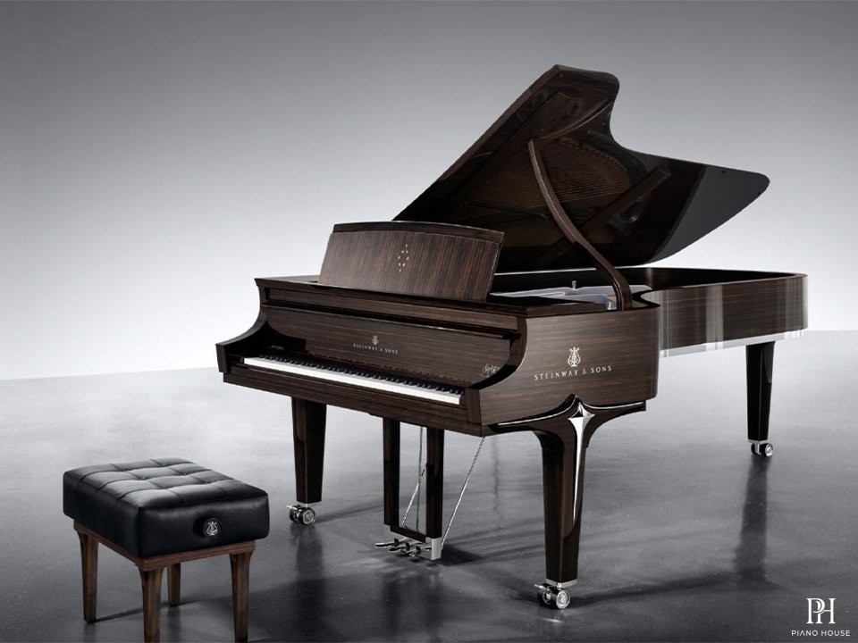 Steinway & Sons Black Dimond model D