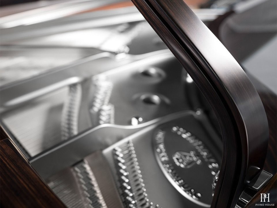 Steinway & Sons Black Dimond model D