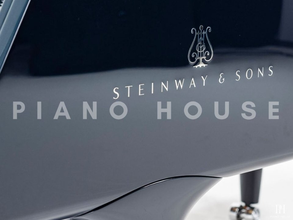 Steinway & Sons Noé Limited Edition (Midnight Blue)