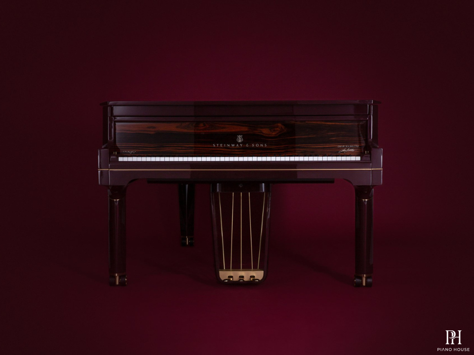 Steinway & Sons Gran Nichetto (The Midnight Red)