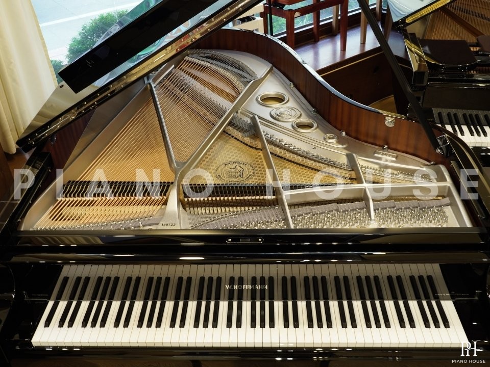 P188 (W.HOFFMANN PROFESSIONAL)