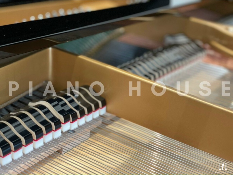 T161 (W.HOFFMANN TRADITION)