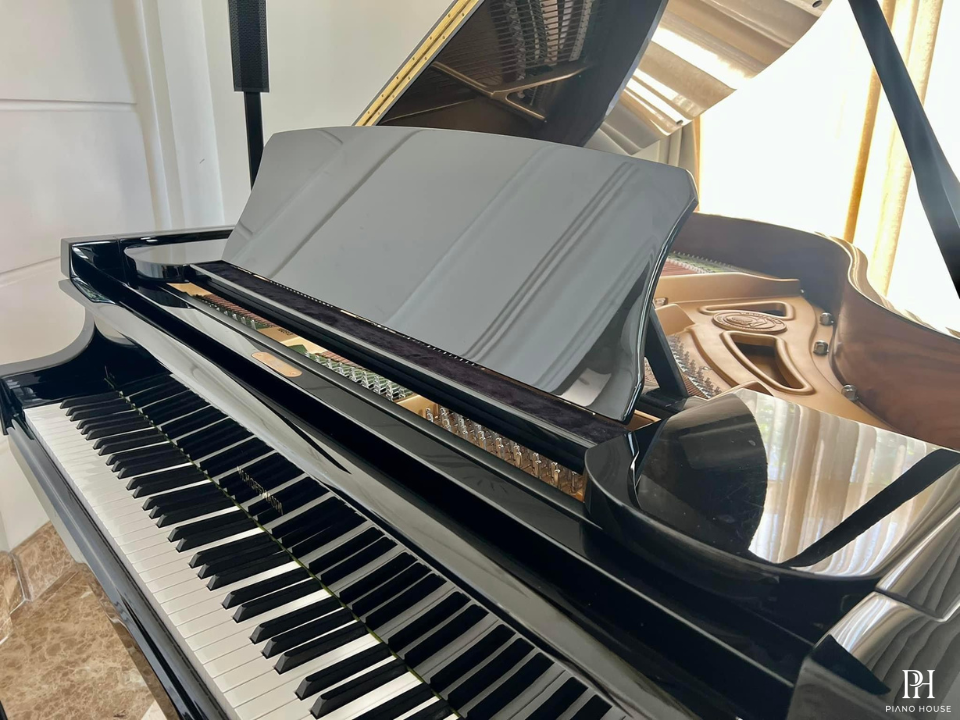 T161 (W.HOFFMANN TRADITION)
