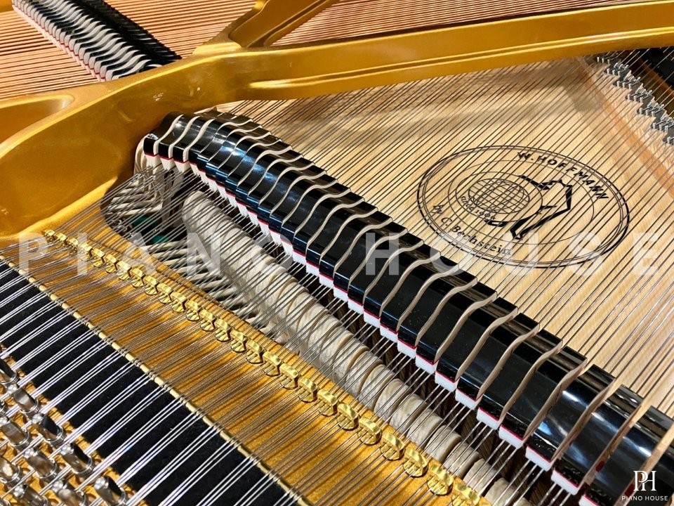 V158 (W.HOFFMANN VISION)