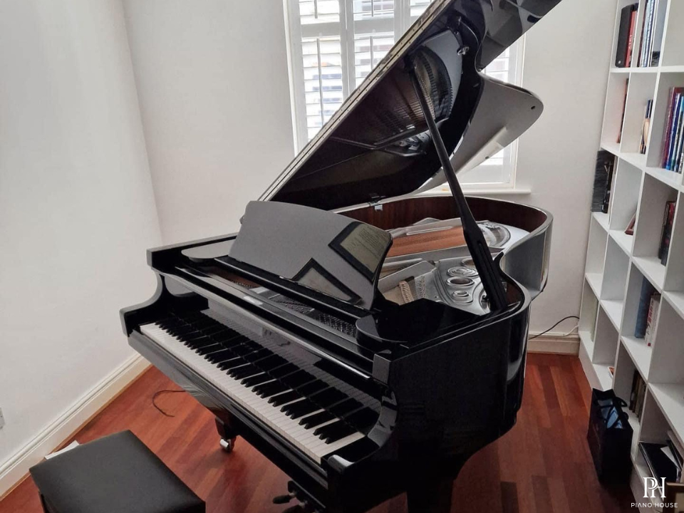 P188 (W.HOFFMANN PROFESSIONAL)