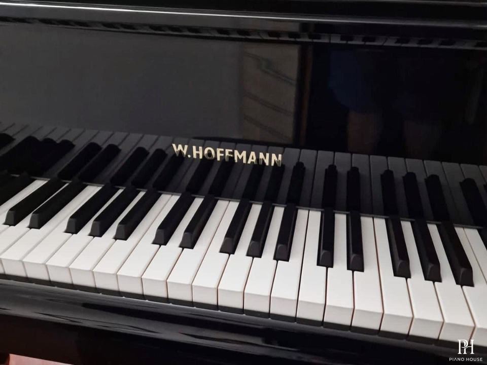 P188 (W.HOFFMANN PROFESSIONAL)