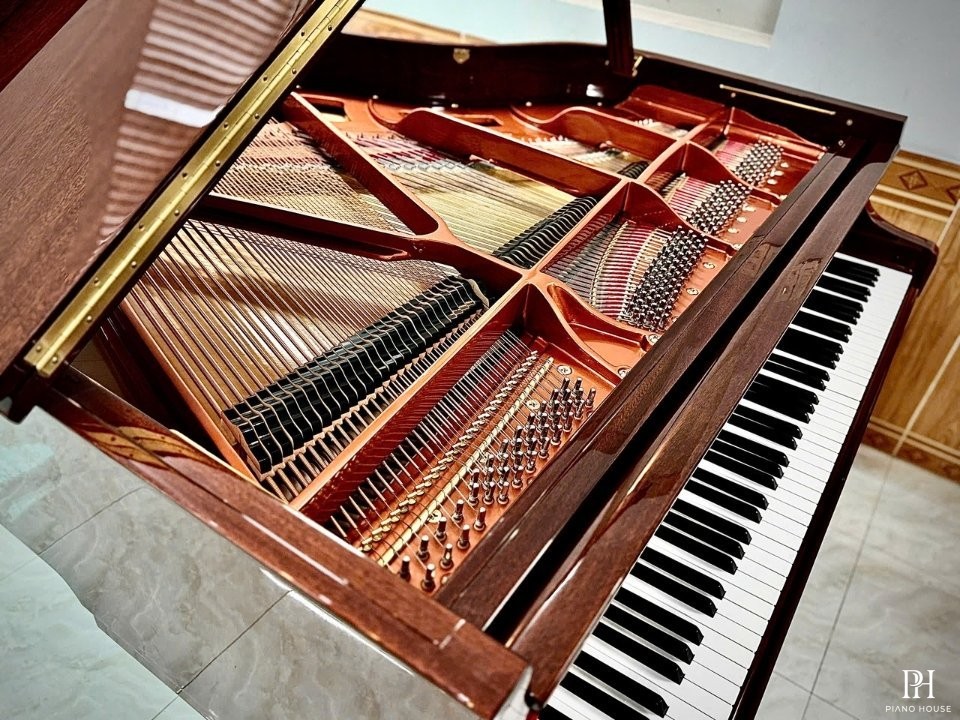 Wendl & Lung Mod.151 Mahogany - Silent