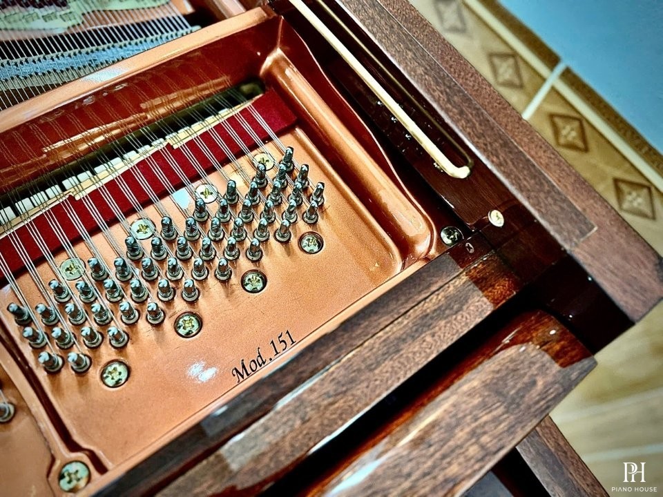 Wendl & Lung Mod.151 Mahogany - Silent